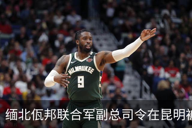 缅北佤邦联合军副总司令在昆明被捕的经过